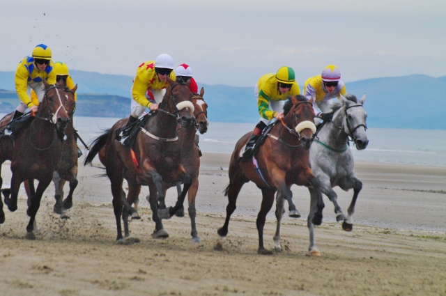 アイルランド 競馬