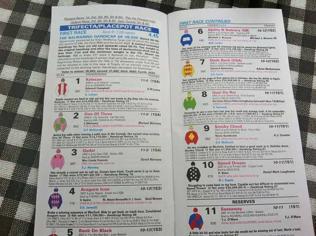 アイルランド 競馬