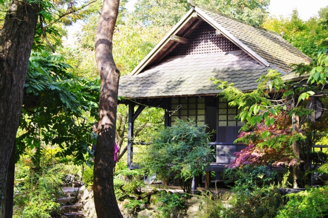 日本庭園 アイルランド
