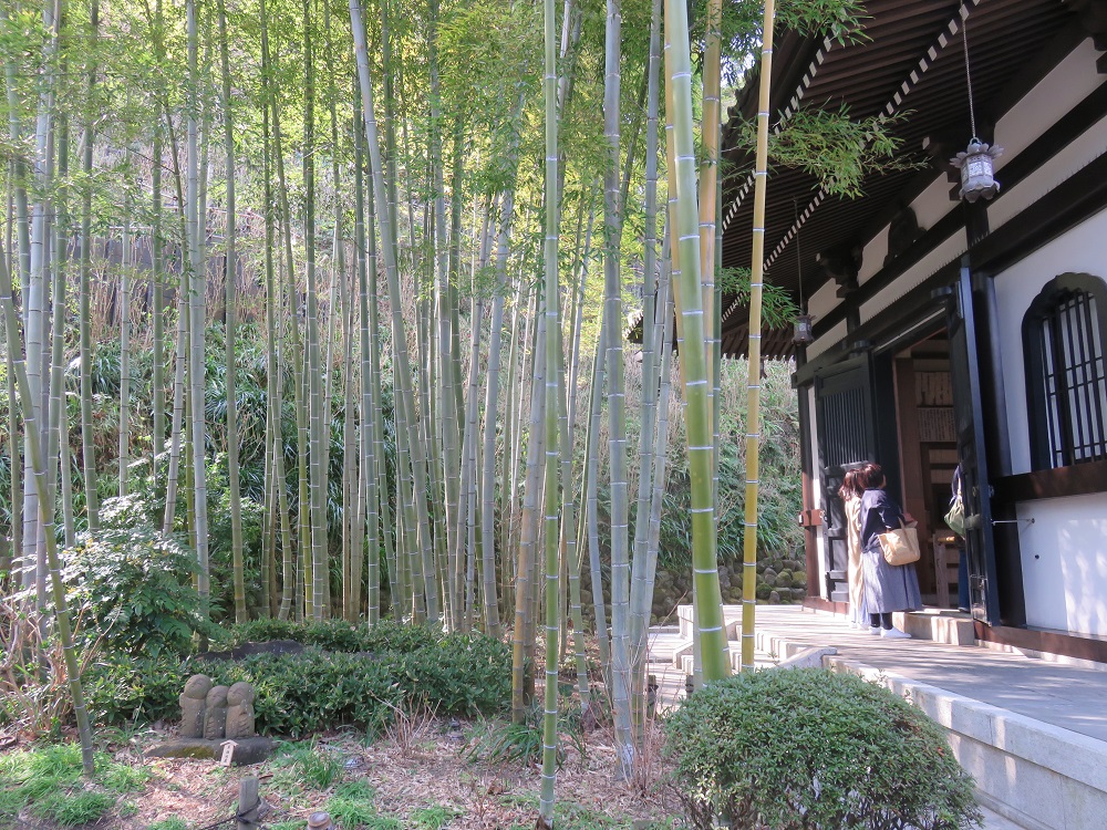 長谷寺を見学