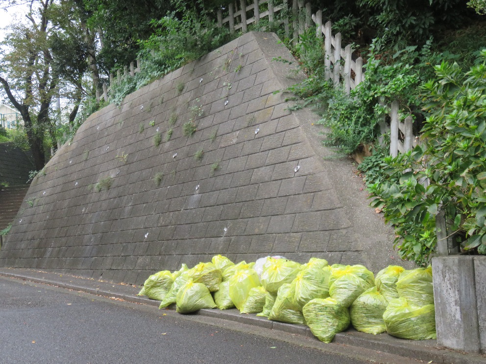 森戸ケ原第一公園もゴミ袋がたくさん！！