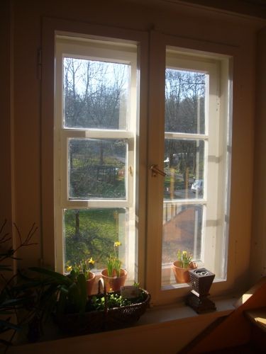 Blick aus dem Fenster