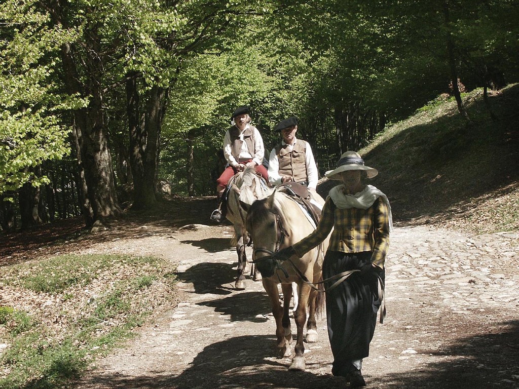 Entraînement à la marche