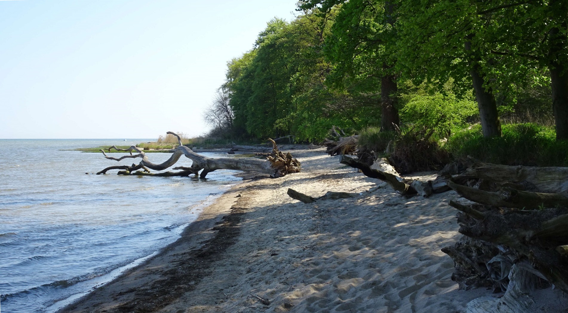 Naturstrand - Greifswalder Bodden