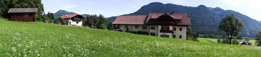 ferienhaus-enzis Webseite!