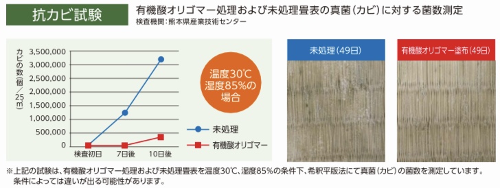 絢葉6の抗カビ効果試験結果