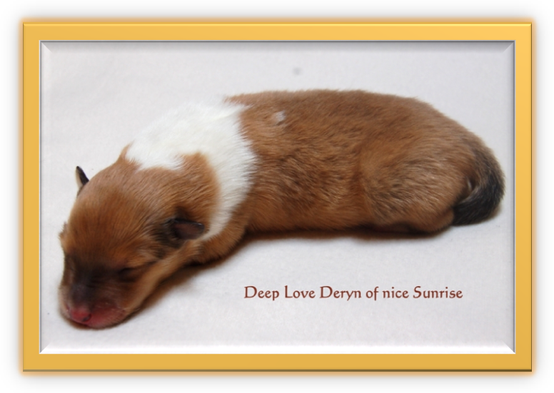 Deryn - 2 Tage alt.