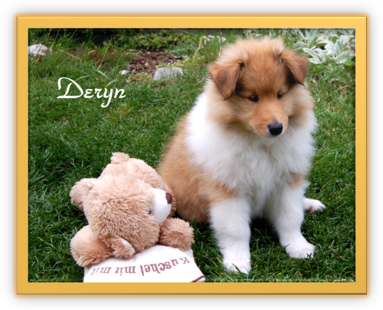 Deryn - 8. Woche