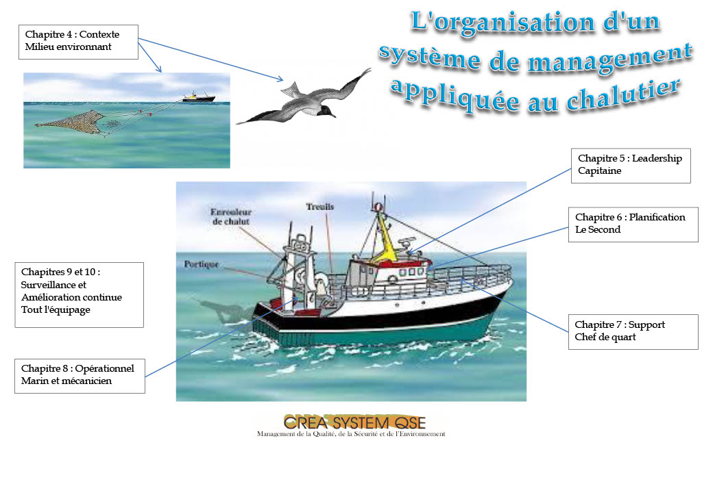 Qu'est-ce qu'un système de management ?