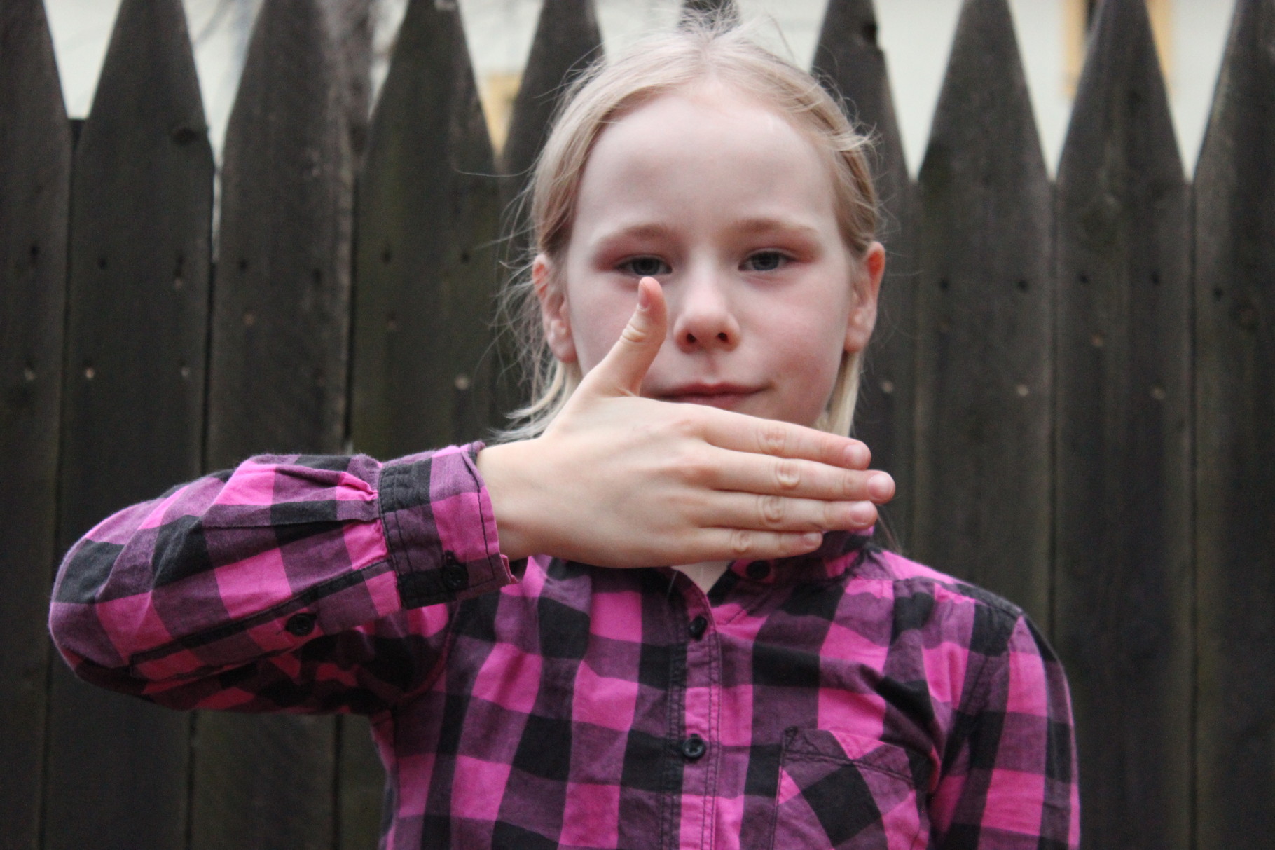 GESICHT
