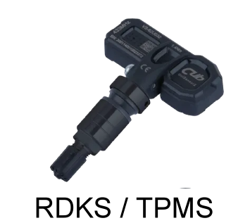 RDKS