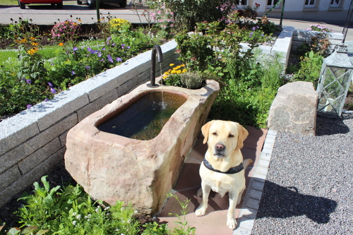 Brunnen