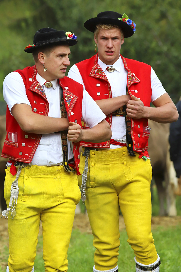 foto-aldente.net - Brunnadern - Viehschau - Fotografie - Tierfotografie