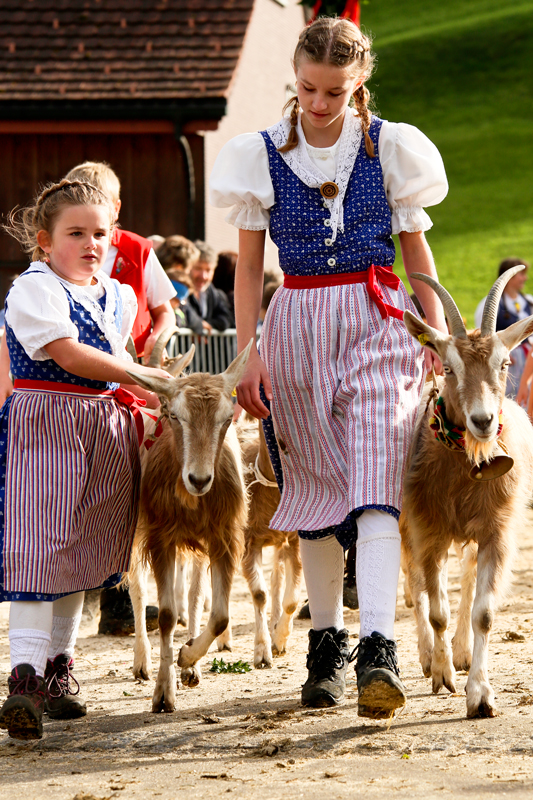 foto-aldente.net - Mosnang - Viehschau - Fotografie - Tierfotografie