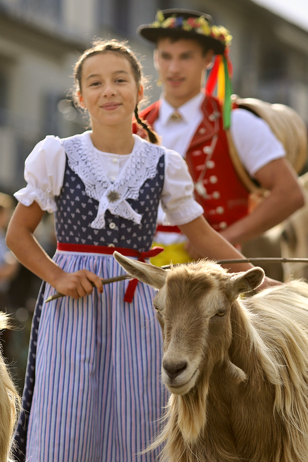 foto-aldente.net - Brunnadern  - Viehschau - Fotografie - Tierfotografie