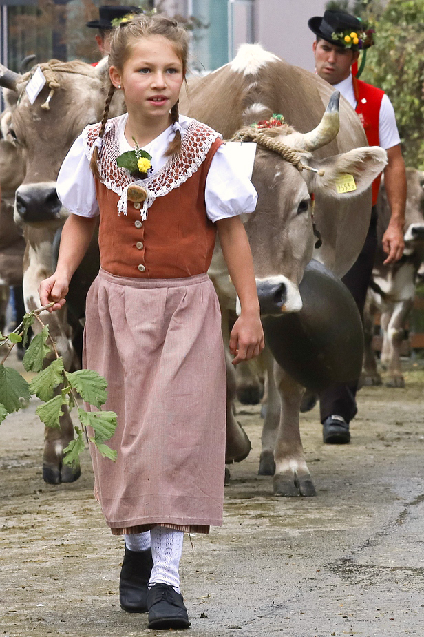 foto-aldente.net - Schwellbrunn - Viehschau - Fotografie - Tierfotografie