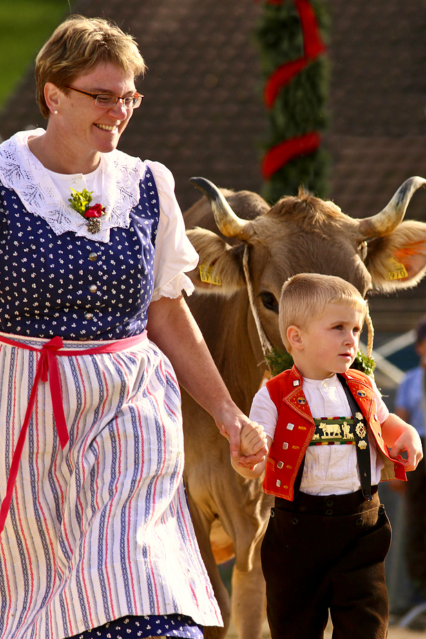 foto-aldente.net - Mosnang - Viehschau - Fotografie - Tierfotografie