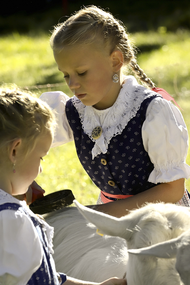 foto-aldente.net - Alt St. Johann - Viehschau - Fotografie - Tierfotografie