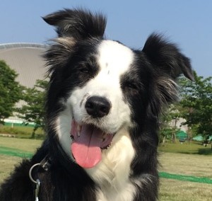 伊井　MOL
