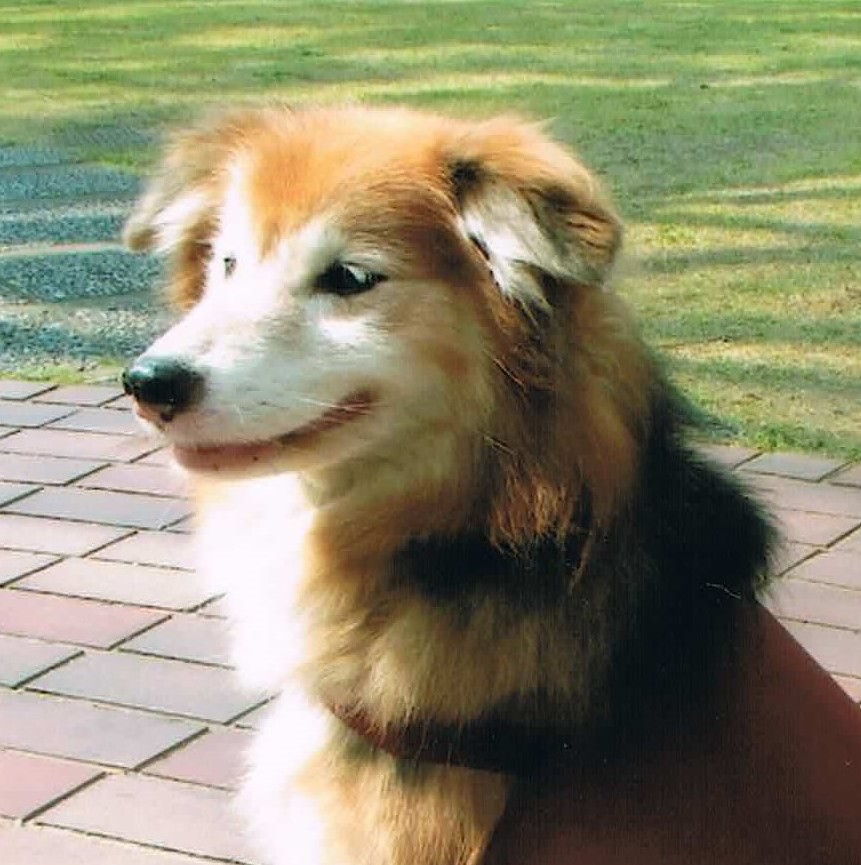 吉田　ひな