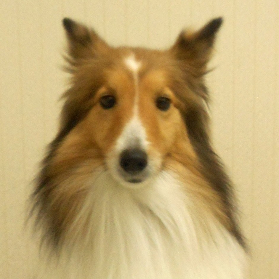近藤すず（更新2回目）