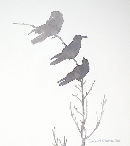 corbeau freux aquarelle Jean Chevallier