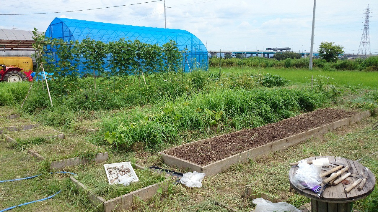 いつも教えていただいている森本さんに「本当にええ畑になった」と言って頂きました（；；）これからもよろしくね;)