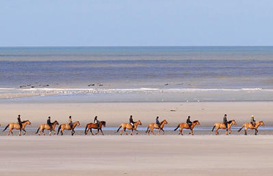 Chevaux Henson en Baie - Camping Quend-Plage - Baie de Somme - Camping Fort-Mahon - Picardie - locations Mobil-Home - location insolite - Camping Clos des Genêts 