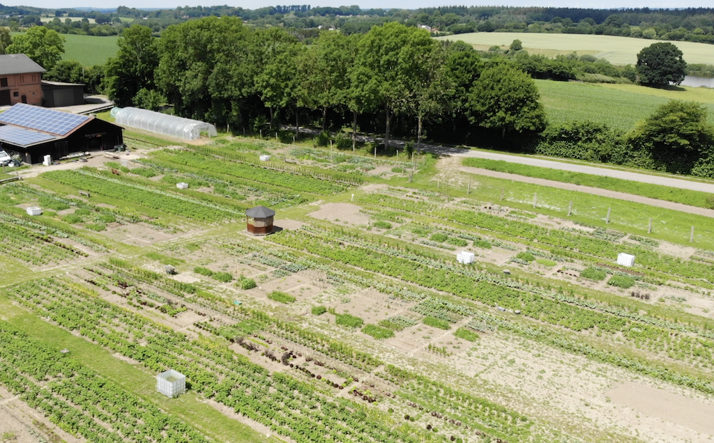 Gartenanlage in 2022, für die neue Saison haben wir ein echtes Highlight, lasst euch überraschen!