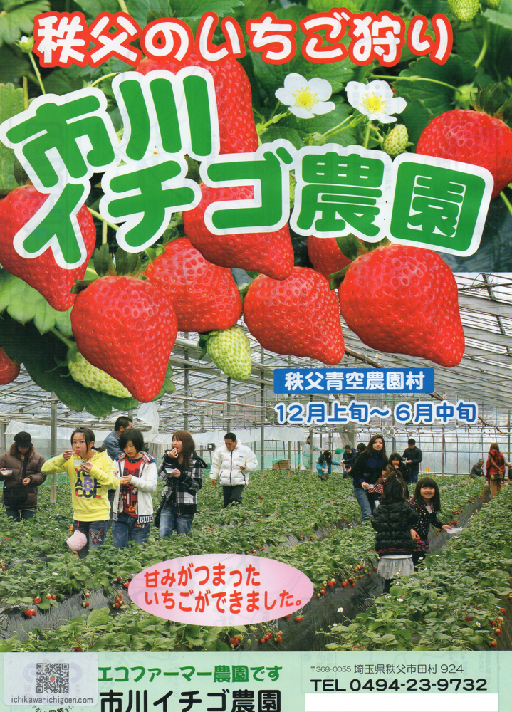 パンフレット 埼玉県秩父市 観光いちご農園 市川いちご園 あまりん かおりんを栽培 公式サイト パンフレット 埼玉県秩父市 観光いちご農園 市川いちご園 あまりん かおりんを栽培 公式サイト
