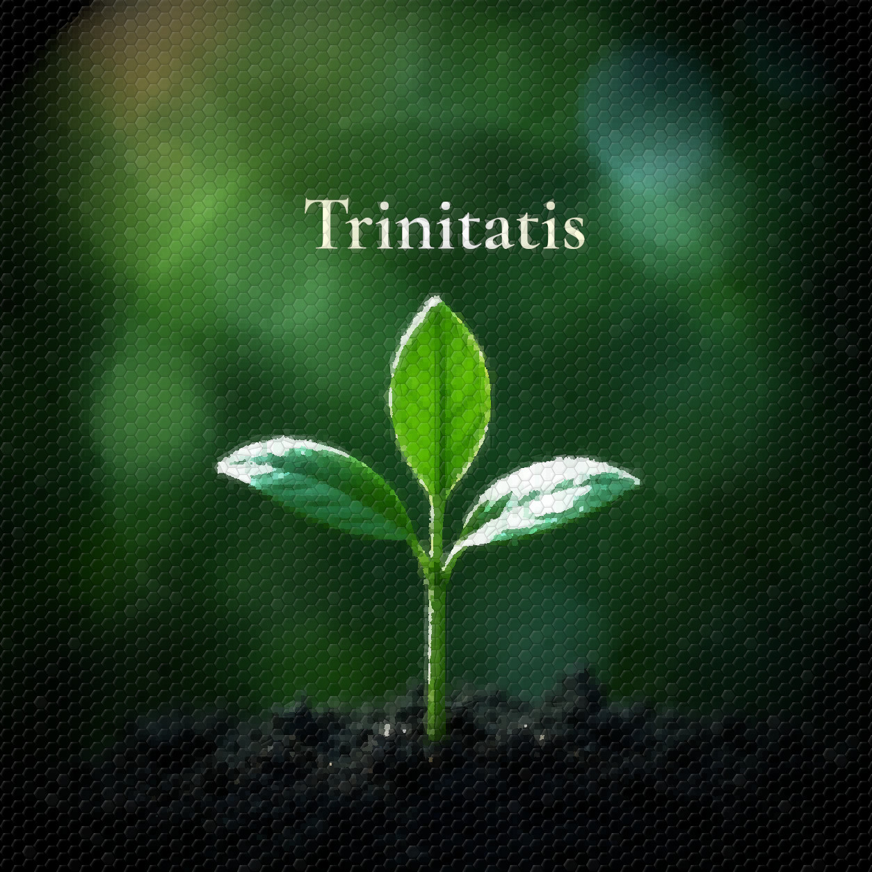 Trinitatiszeit. Langweilig?
