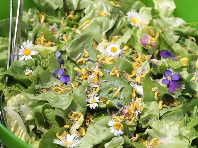 Salat mit essbaren Wildblumen-Blüten