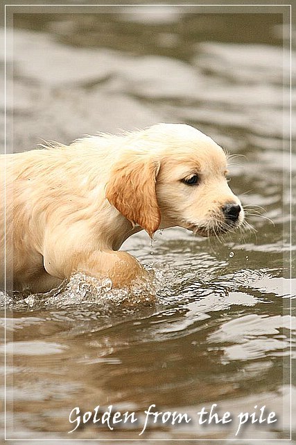 erste Wasserarbeit