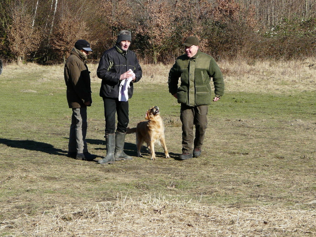 spielen