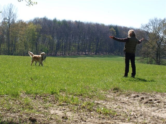 im Schneckentempo zurück.