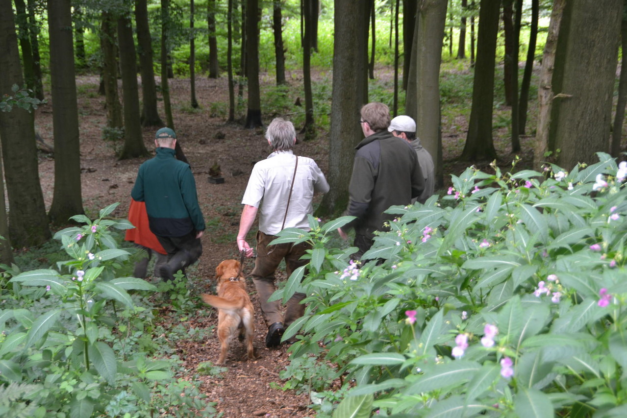 zur Waldschleppe