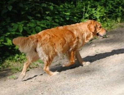 15.06.2010 - 2 Tage vor der Geburt