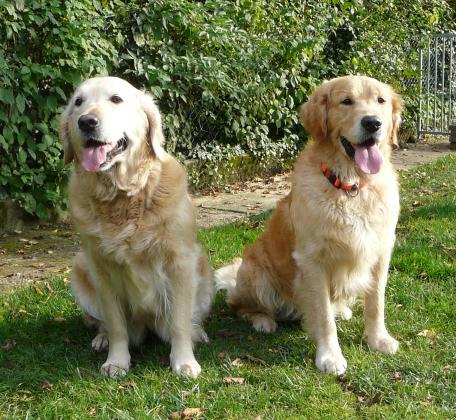 Back to the Roots Darcy und Keke