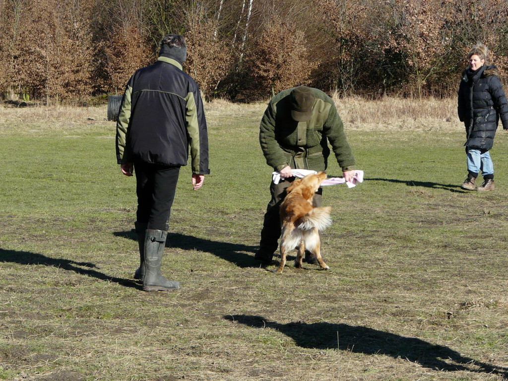 Ein bisschen Zerren am Handtuch,