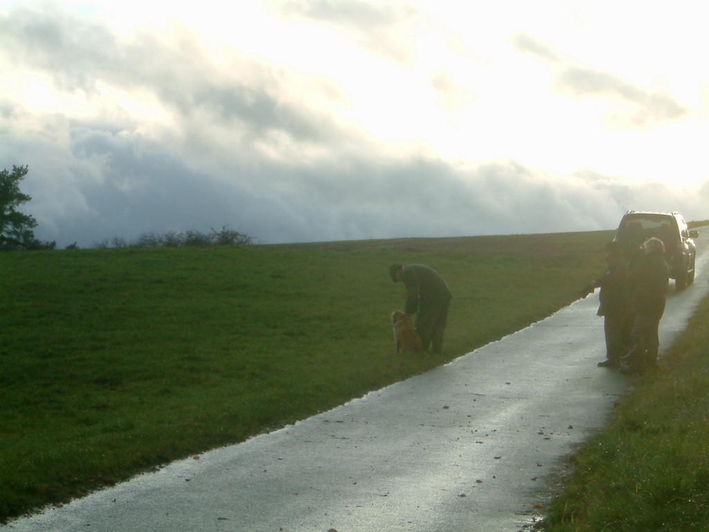 Wieder ziehen dunkle Wolken auf und der Wind wird stärker.