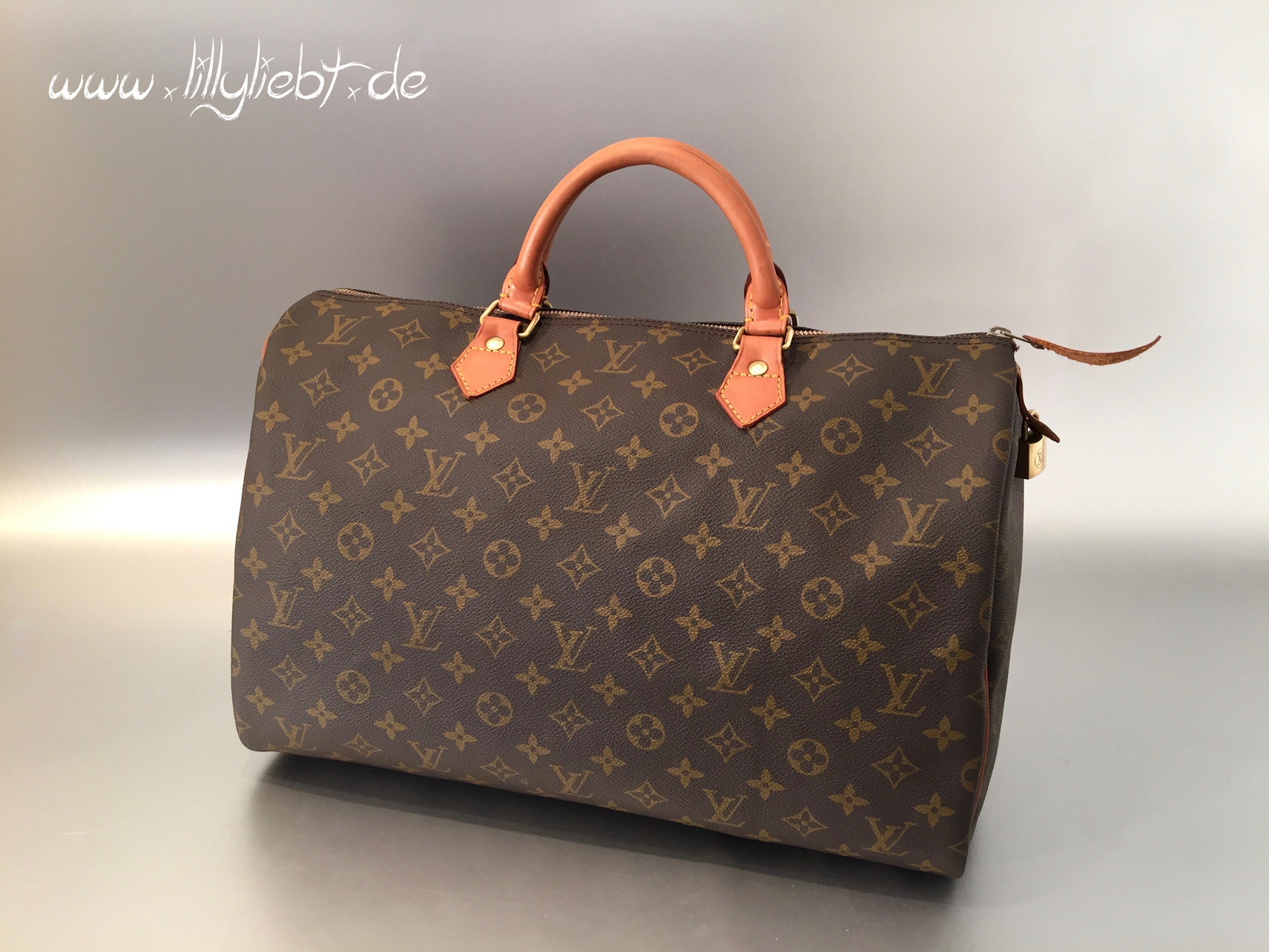 Louis Vuitton Speedy 40 Monogram Canvas Vintage in Hessen