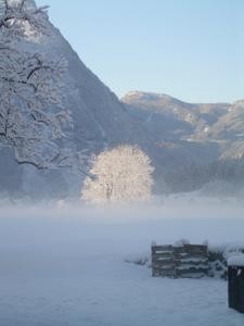 Morgennebel im Nov. am Landhaus Bergidyll