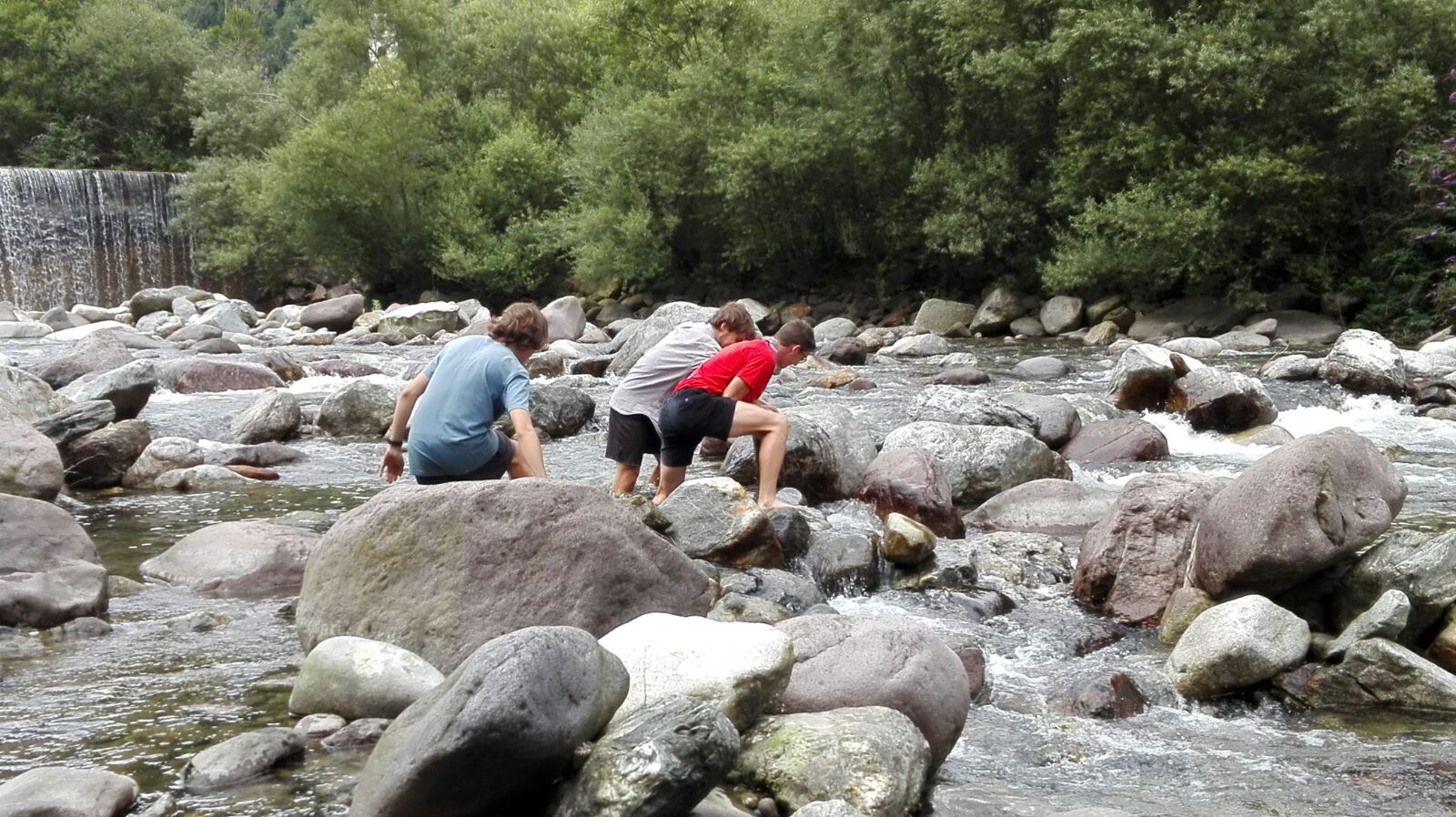 Piccoli castori...