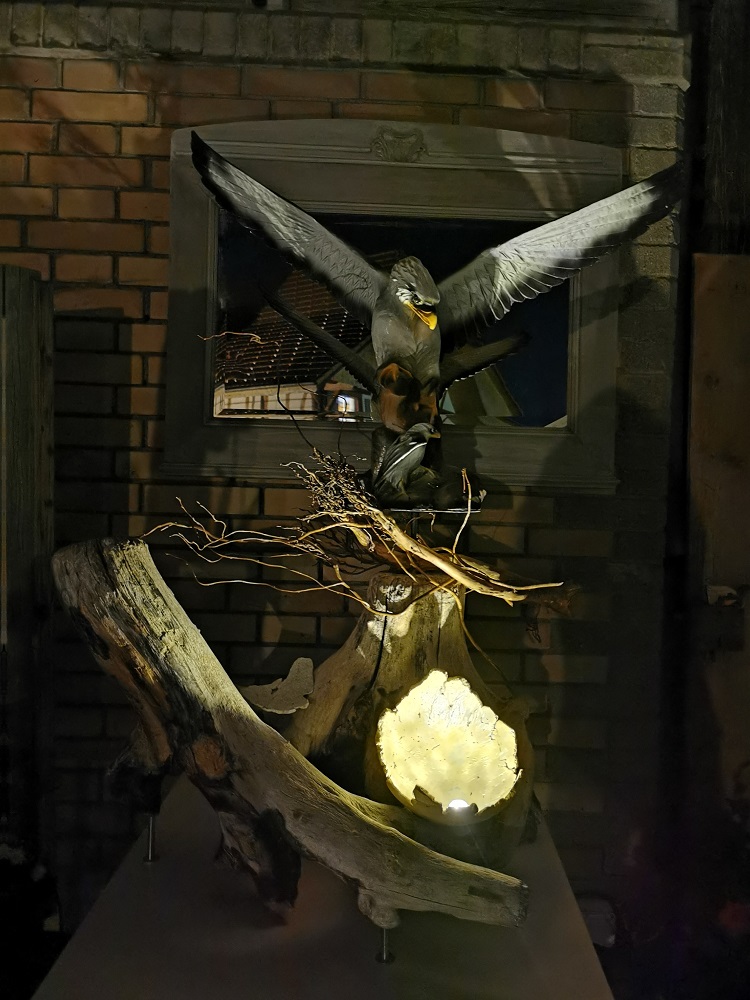Schwemmholzwurzelstock mit Adler
