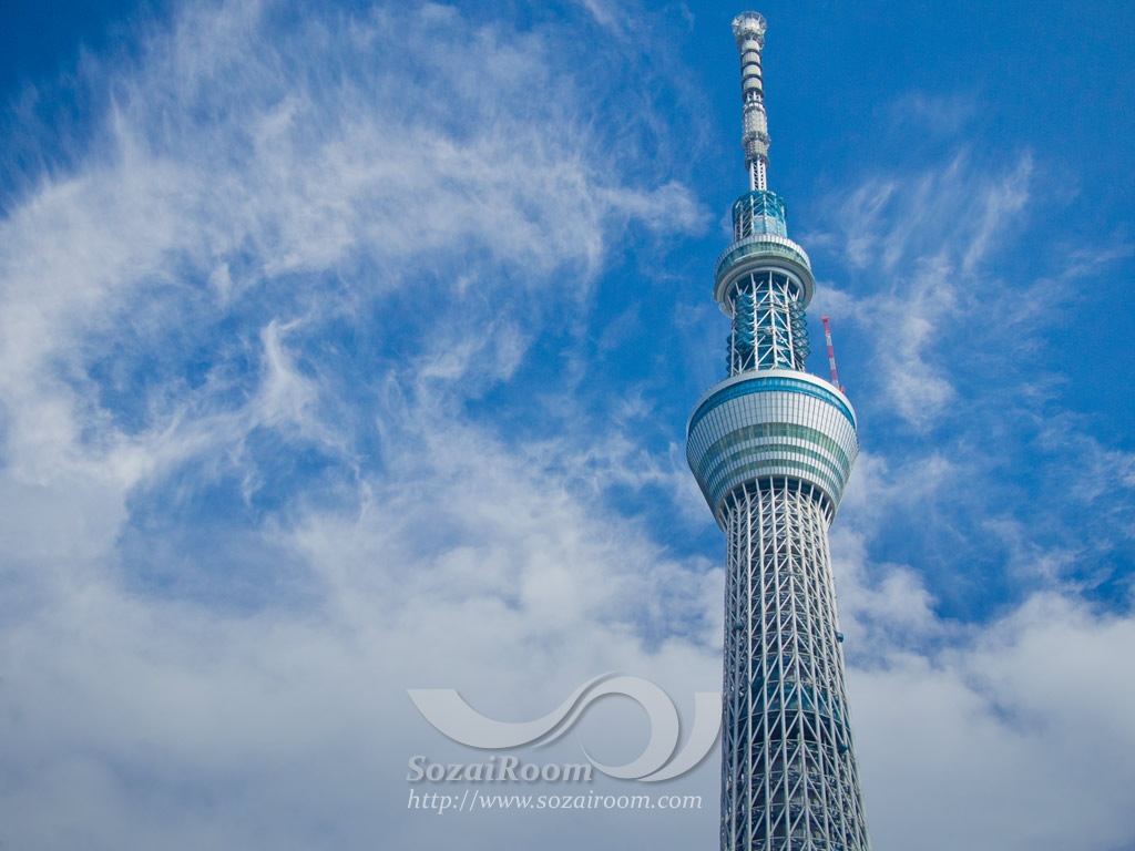 最高のスカイツリー 壁紙 高画質 最高の花の画像