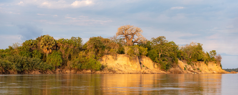 Rives du fleuve Rufiji en fin de journée.