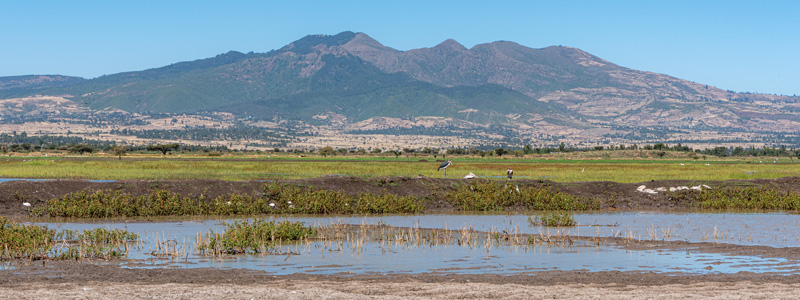 Lac Chelekleka, premier en descendant la vallée du Rift depuis Addis Abeba