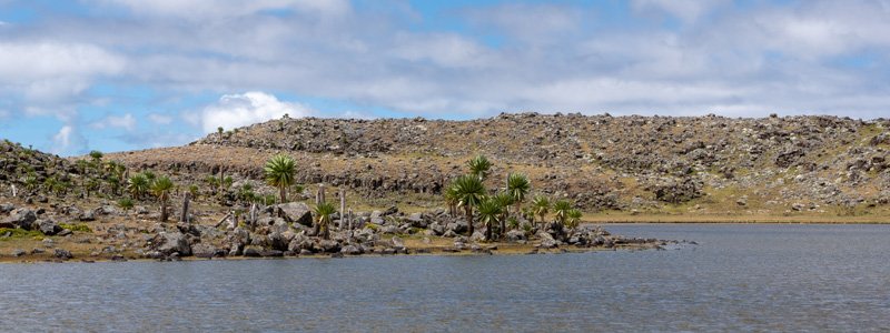 Paysage du plateau de Sanetti