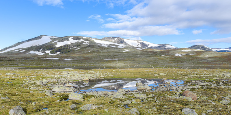 Landscape of the Valdres valley