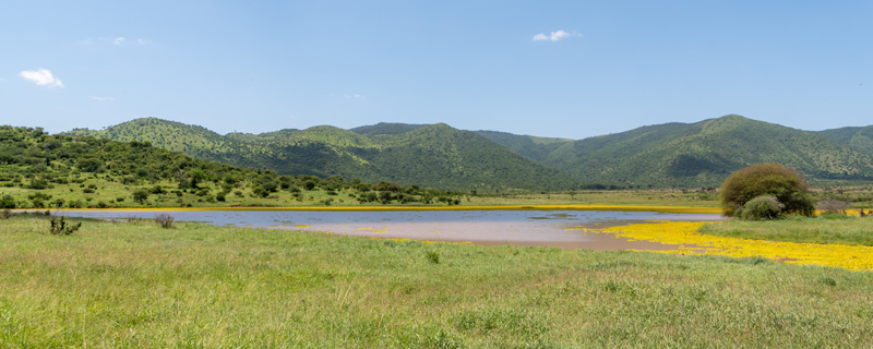 Very diverse natural environments in this little-visited national park